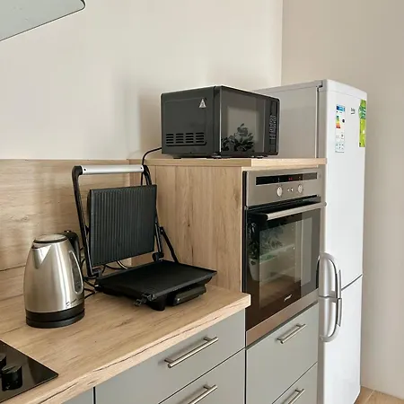V Srdci Podebrad 100m2 Appartement