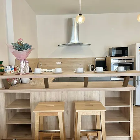 V Srdci Podebrad 100m2 Apartment *