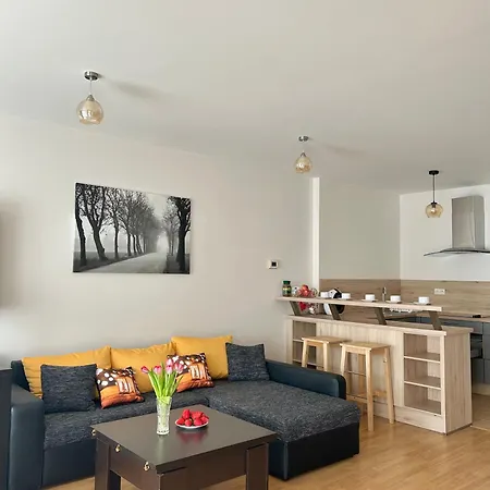 V Srdci Podebrad 100m2 Apartment Podebrady