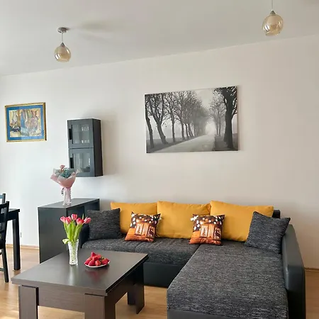 V Srdci Podebrad 100m2 Apartment