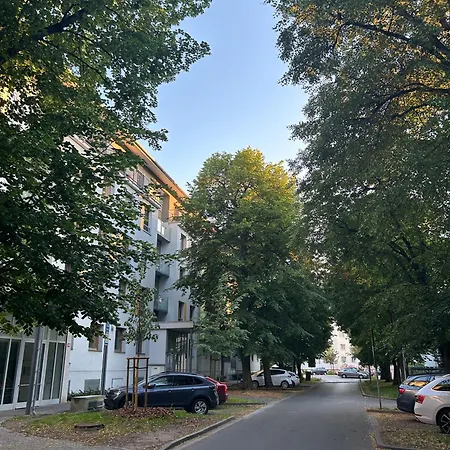 V Srdci Podebrad 100m2