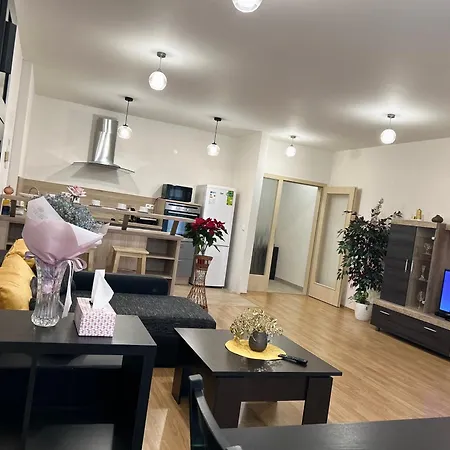 V Srdci Poděbrad 100m2 Apartamento *