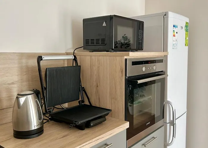 V Srdci Poděbrad 100m2 Apartmán